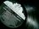 画像3: マーク・リーマン・ファイブUK廃盤★THE MARK LEEMAN FIVE-『MEMORIAL ALBUM』 (3)