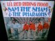 60sモンドガレージ/US原盤★SAM THE SHAM & THE PHARAOHS-『LI'L RED RIDING HOOD』