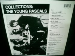 画像2: ヤング・ラスカルズ２枚目★YOUNG RASCALS-『COLLECTIONS』