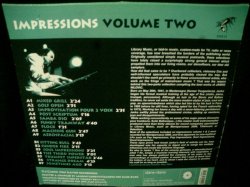 画像2: Organ b.suite MIX TAPE収録★JANKO NILOVIC-『IMPRESSIONS VOL.2』