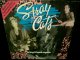 ストレイ・キャッツUK原盤12インチ★STRAY CATS-『BRING IT BACK AGAIN』　
