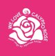 カリプソ・ローズ/Tribute盤★V.A.-『WE LOVE CALYPSO ROSE cover songs by Japanese Artists』
