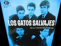 画像1: ガレージパンク限定10inch★Los Gatos Salvajes –『 Argentina's #1 Beat Band 1965 Studio Recordings』