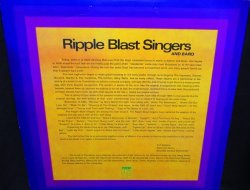 画像2: 1964年音源カバー集/US原盤★Ripple Blast Singers – 『Rhythm And Blues Hits Of '64』