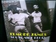 画像1: エルモア・ジェイムス廃盤★ELMORE JAMES-『SOUTH SIDE BLUES』  (1)