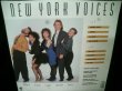 画像2: DUKE ELLINGTON-『CARAVAN』高速スキャット収録★NEW YORK VOICES-『NEW YORK VOICES』 (2)