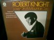 画像1: NORTHERN SOUL TOP 500 SINGLES掲載★ROBERT KNIGHT-『LOVE ON A MOUNTAIN TOP』 (1)