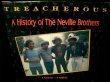 画像1: ネヴィル・ブラザーズ/2枚組みUSベスト盤★THE NEVILLE BROTHERS-『TREACHEROUS』 (1)