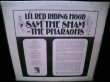 画像2: 60sモンドガレージ/US原盤★SAM THE SHAM & THE PHARAOHS-『LI'L RED RIDING HOOD』 (2)