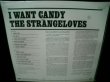 画像2: クボタタケシMIX TAPEネタ収録/ドイツ廃盤★THE STRANGELOVES-『I WANT CANDY』 (2)