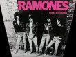 画像1: ラモーンズ3枚目/180g重量盤★RAMONES-『ROCKET TO RUSSIA』 (1)