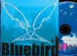 画像2: 2020/東京パラリンピック応援歌★香介-『永遠の扉/Bluebird』 (2)