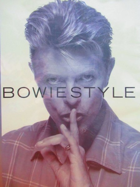 画像1: デヴィッド・ボウイ英国書籍/初版本★David Bowie (1)