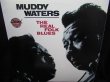 画像1: マディ・ウォーターズUS廃盤★MUDDY WATERS-『The Real Folk Blues』  (1)