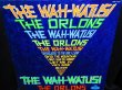 画像1: ジ・オーロンズ廃盤★THE ORLONS-『THE WAH-WATUSI』 (1)