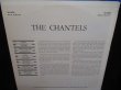 画像2: ザ・シャンテルズ名盤★THE CHANTELS-『WE ARE THE CHANTELS』 (2)