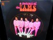 画像1: ザ・タムズUS原盤★THE TAMS-『 A Portrait Of The Tams』 (1)