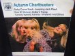 画像1: 60年代カバー集/UK原盤★『AUTUMN CHARTBUSTERS 』 (1)