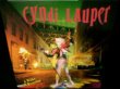 画像1: 椎名林檎/元ネタ収録★CYNDI LAUPER-『A NIGHT TO REMEMBER』  (1)